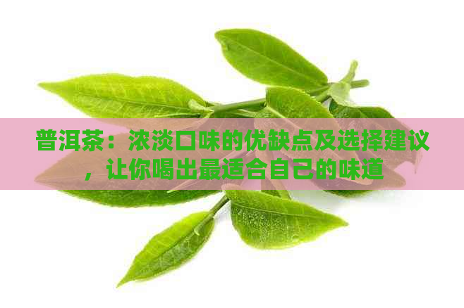 普洱茶：浓淡口味的优缺点及选择建议，让你喝出最适合自己的味道