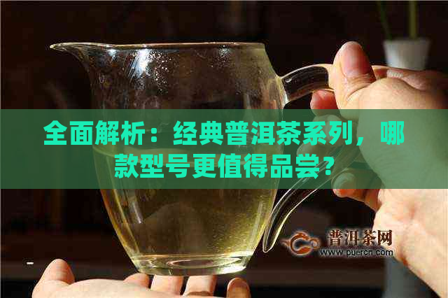 全面解析：经典普洱茶系列，哪款型号更值得品尝？