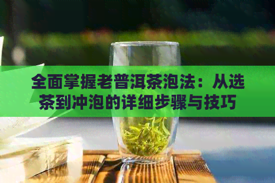 全面掌握老普洱茶泡法：从选茶到冲泡的详细步骤与技巧