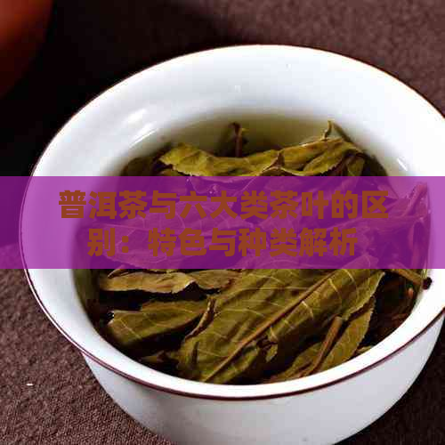 普洱茶与六大类茶叶的区别：特色与种类解析