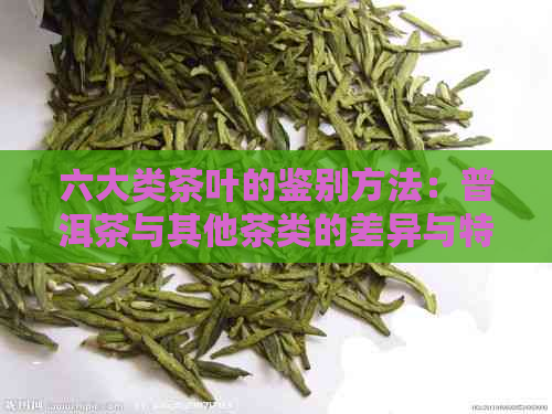 六大类茶叶的鉴别方法：普洱茶与其他茶类的差异与特点