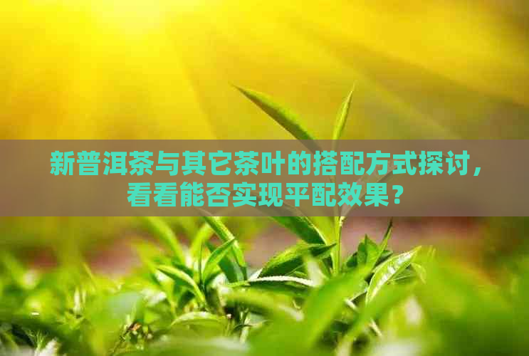 新普洱茶与其它茶叶的搭配方式探讨，看看能否实现平配效果？