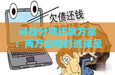 寻找分期还款方案：两万块钱的选择是什么？