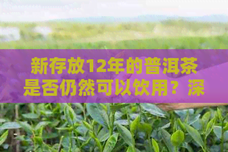 新存放12年的普洱茶是否仍然可以饮用？深入探讨其品质与风味变化