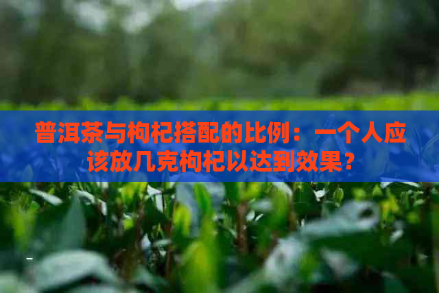 普洱茶与枸杞搭配的比例：一个人应该放几克枸杞以达到效果？