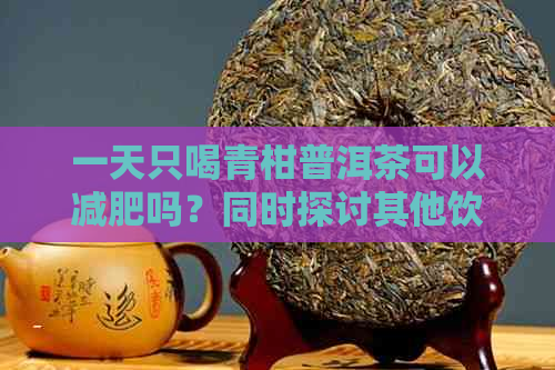 一天只喝青柑普洱茶可以减肥吗？同时探讨其他饮用时间与效果的影响