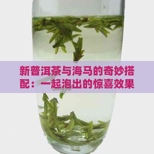 新普洱茶与海马的奇妙搭配：一起泡出的惊喜效果如何？