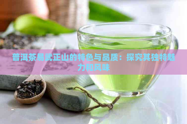 普洱茶易武正山的特色与品质：探究其独特魅力和风味