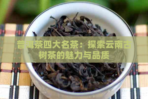 普洱茶四大名茶：探索云南古树茶的魅力与品质