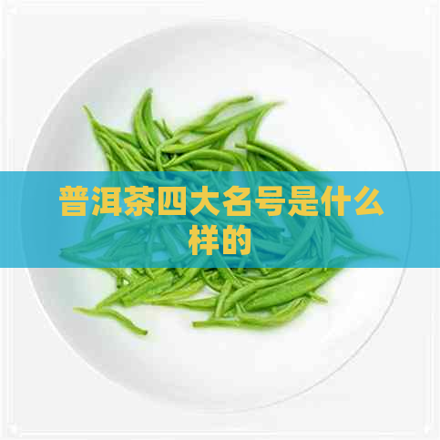 普洱茶四大名号是什么样的