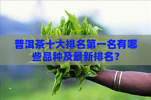 普洱茶十大排名之一名有哪些品种及最新排名？