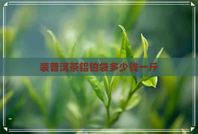 装普洱茶铝铂袋多少钱一斤