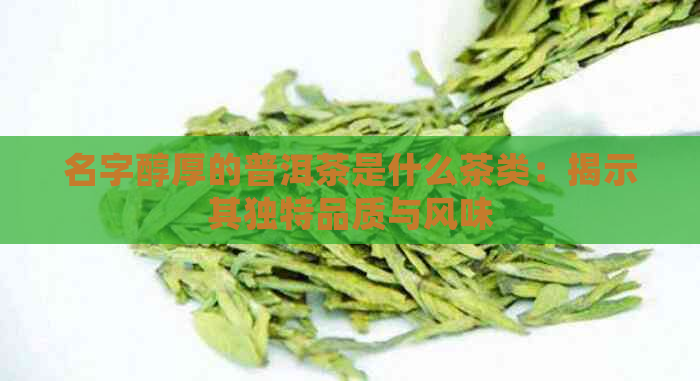 名字醇厚的普洱茶是什么茶类：揭示其独特品质与风味