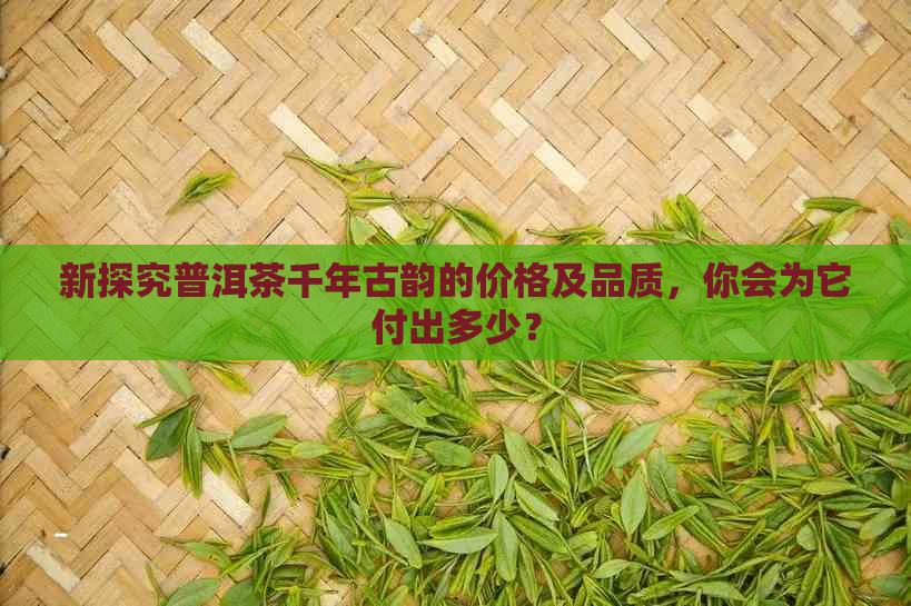 新探究普洱茶千年古韵的价格及品质，你会为它付出多少？