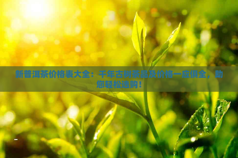 新普洱茶价格表大全：千年古树茶品及价格一应俱全，助您轻松选购！