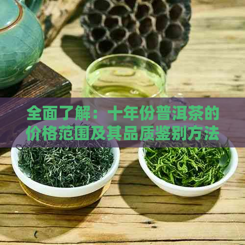 全面了解：十年份普洱茶的价格范围及其品质鉴别方法