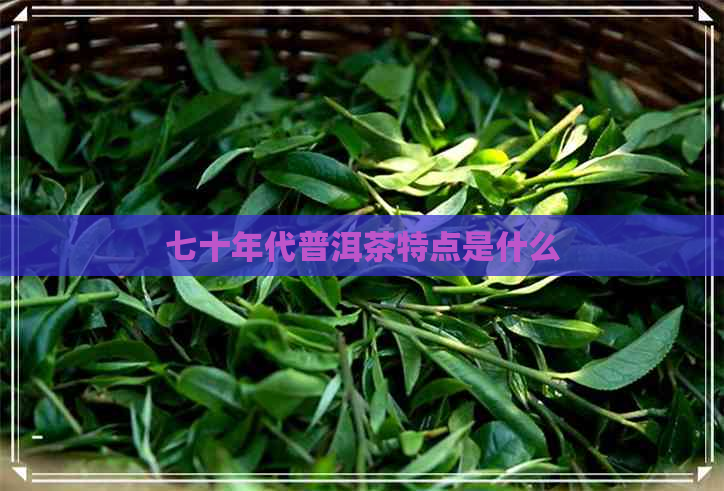 七十年代普洱茶特点是什么