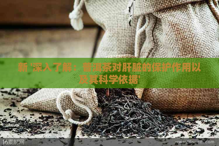 新 '深入了解：普洱茶对肝脏的保护作用以及其科学依据'