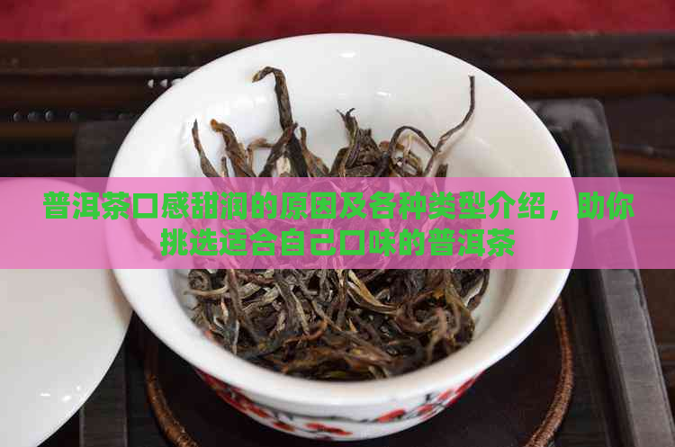 普洱茶口感甜润的原因及各种类型介绍，助你挑选适合自己口味的普洱茶