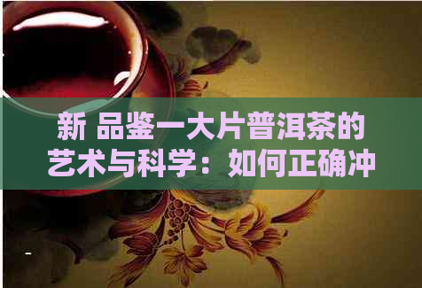 新 品鉴一大片普洱茶的艺术与科学：如何正确冲泡以享受其醇厚口感