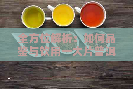 全方位解析：如何品鉴与饮用一大片普洱茶，让您的茶艺瞬间提升