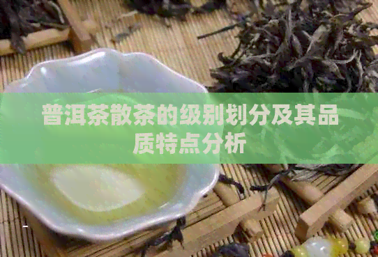 普洱茶散茶的级别划分及其品质特点分析