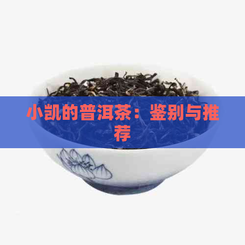 小凯的普洱茶：鉴别与推荐