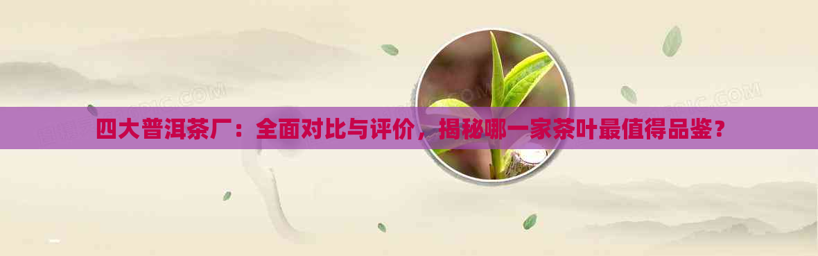 四大普洱茶厂：全面对比与评价，揭秘哪一家茶叶最值得品鉴？