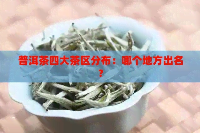 普洱茶四大茶区分布：哪个地方出名？