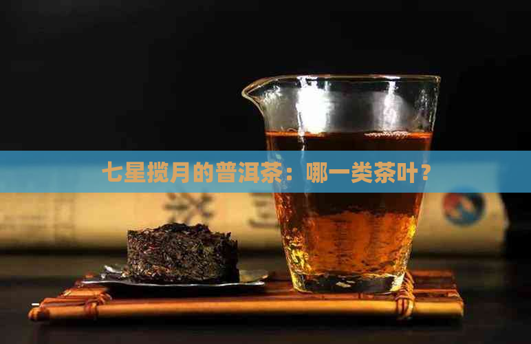 七星揽月的普洱茶：哪一类茶叶？