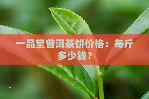 一品堂普洱茶饼价格：每斤多少钱？