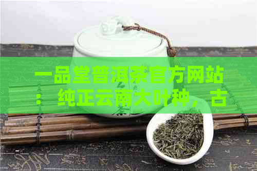 一品堂普洱茶官方网站： 纯正云南大叶种，古树茶香浓，新旧世界茶艺体验