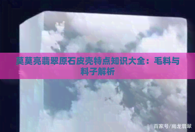 莫莫亮翡翠原石皮壳特点知识大全：毛料与料子解析