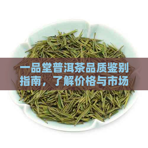 一品堂普洱茶品质鉴别指南，了解价格与市场趋势