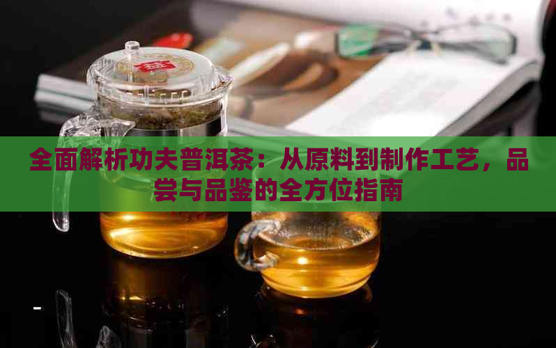 全面解析功夫普洱茶：从原料到制作工艺，品尝与品鉴的全方位指南