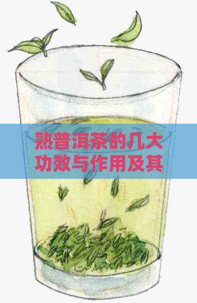 熟普洱茶的几大功效与作用及其饮用禁忌：助消化、降脂减肥、抗氧化等。