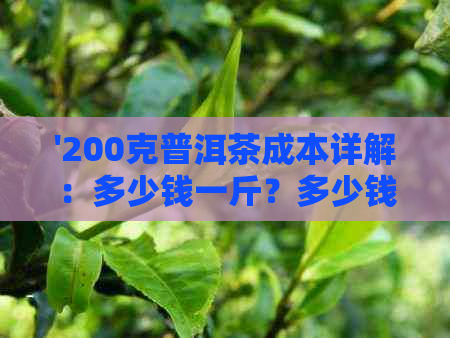 '200克普洱茶成本详解：多少钱一斤？多少钱一盒？好吗？'