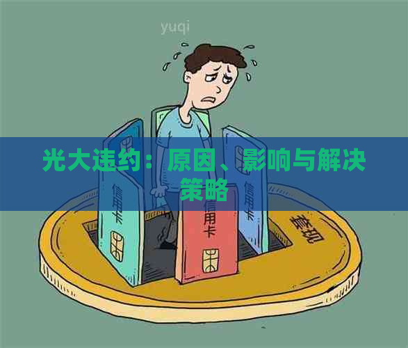 光大违约：原因、影响与解决策略