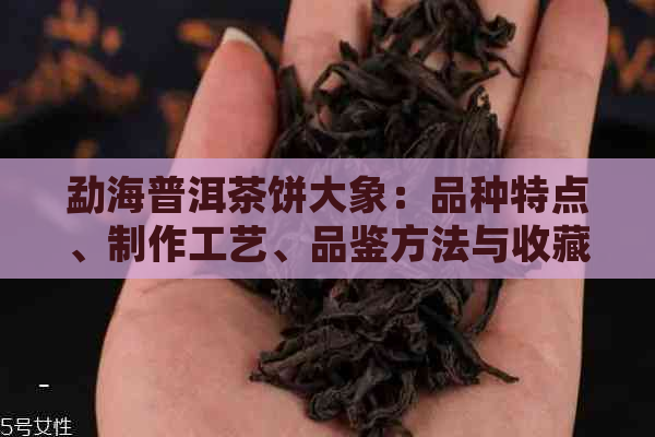 勐海普洱茶饼大象：品种特点、制作工艺、品鉴方法与收藏价值全面解析