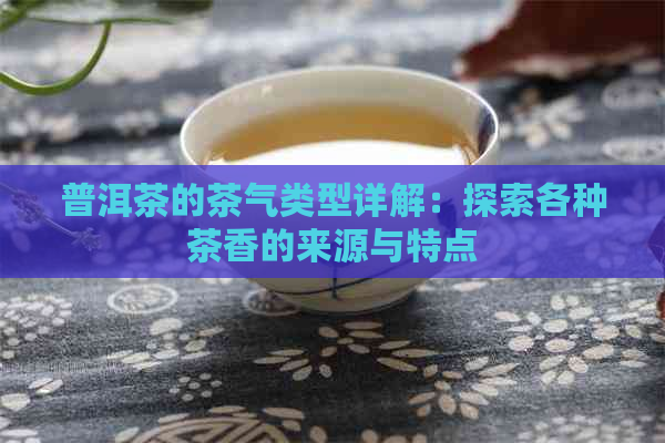 普洱茶的茶气类型详解：探索各种茶香的来源与特点