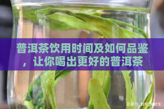 普洱茶饮用时间及如何品鉴，让你喝出更好的普洱茶