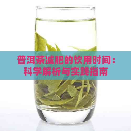 普洱茶减肥的饮用时间：科学解析与实践指南