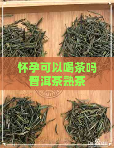 怀孕可以喝茶吗普洱茶熟茶