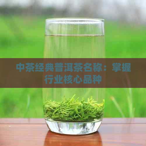 中茶经典普洱茶名称：掌握行业核心品种