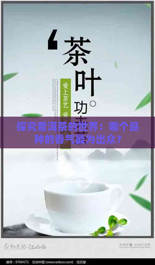 探究普洱茶的世界：哪个品种的香气最为出众？