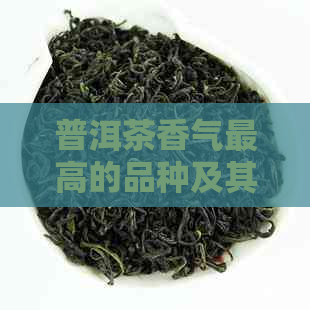 普洱茶香气更高的品种及其品鉴方法：一篇全面指南