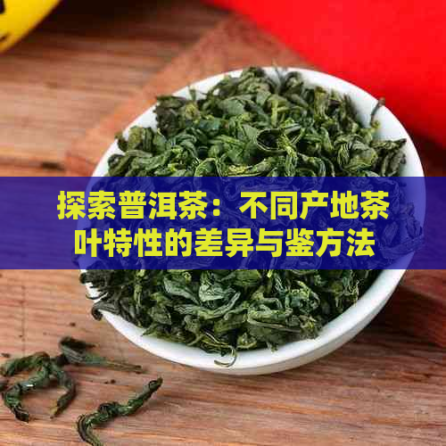 探索普洱茶：不同产地茶叶特性的差异与鉴方法