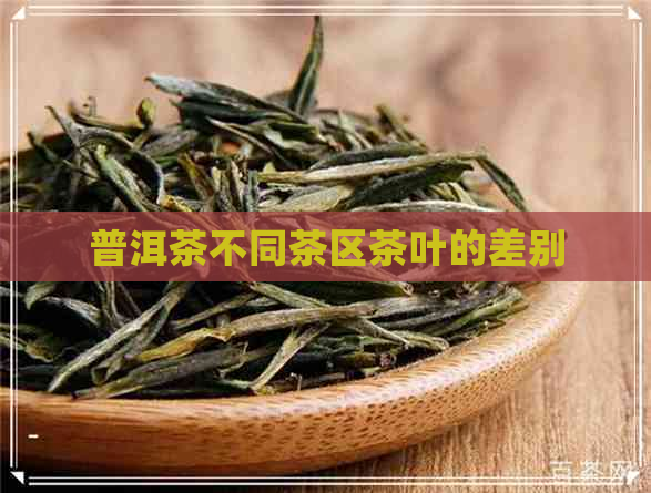 普洱茶不同茶区茶叶的差别