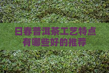 日春普洱茶工艺特点有哪些好的推荐