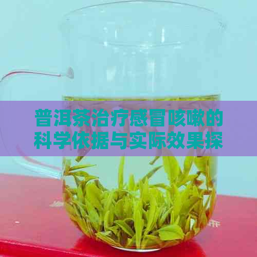 普洱茶治疗感冒咳嗽的科学依据与实际效果探讨